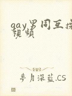 gay男同互操视频