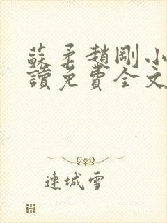 苏柔赵刚小说阅读免费全文