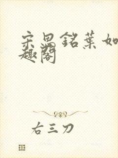 宋思铭叶如云笔趣阁