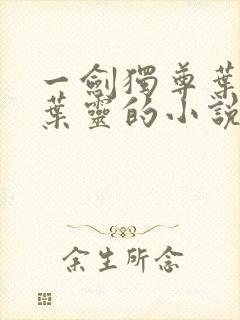 一剑独尊叶玄,叶灵的小说