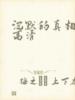 沉默的真相全集高清