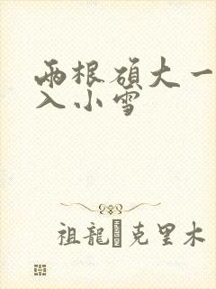 两根硕大一起挤入小雪