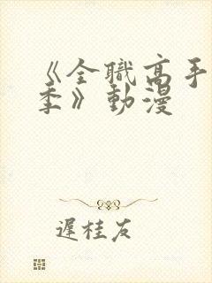 《全职高手第二季》动漫