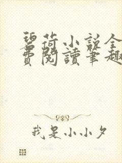 碧荷小说全文免费阅读笔趣阁封面