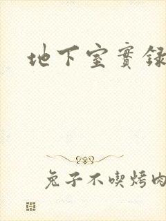 地下室实录封面