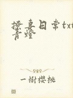 撩妻日常txt青灯