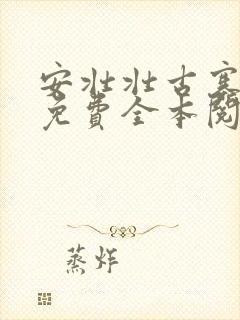 安壮壮古寨情缘免费全本阅读封面