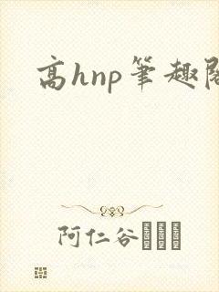 高hnp笔趣阁
