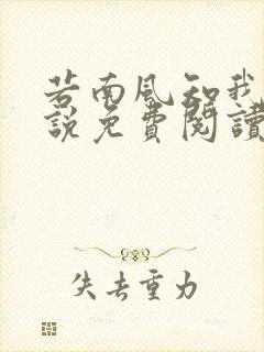 若南风知我意小说免费阅读无弹窗