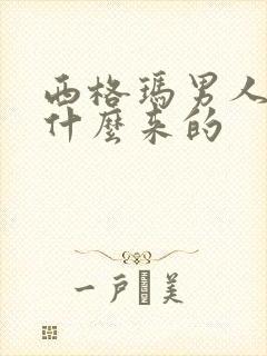 西格玛男人梗是什么来的