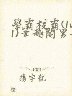 学霸校霸(1v1)笔趣阁男女封面