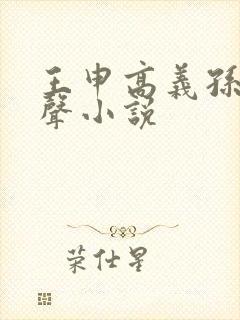 王申高义孙倩有声小说