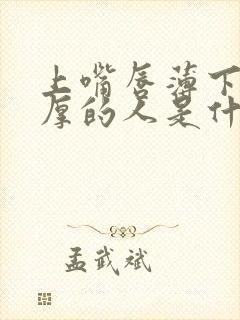 上嘴唇薄下嘴唇厚的人是什么性格