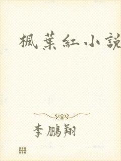 枫叶红小说封面