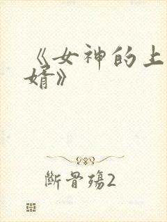 《女神的上门豪婿》