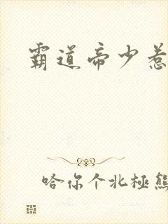 霸道帝少惹不得