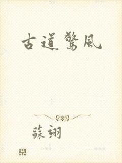 古道惊风封面