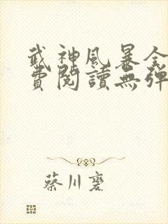 武神风暴全文免费阅读无弹窗笔趣阁