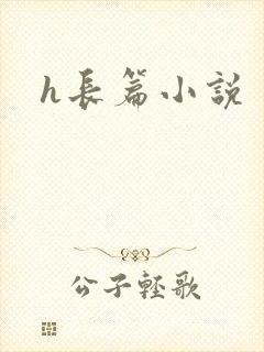 h长篇小说