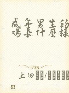 成年男生的小鸡鸡长什么样