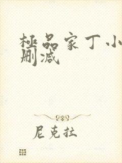 极品家丁小说无删减