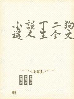 小说丁二狗的逍遥人生全文