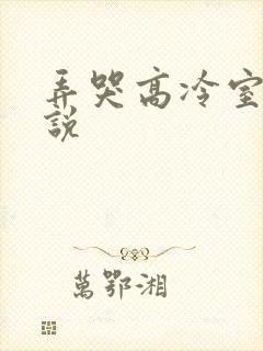 弄哭高冷室友小说