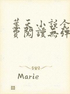 叶天小说全文免费阅读无弹窗最新章节