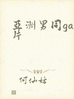 亚洲男同gay片封面