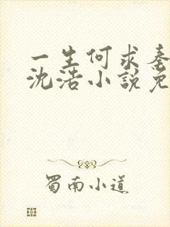 一生何求秦菲雪沈浩小说免费阅读全文