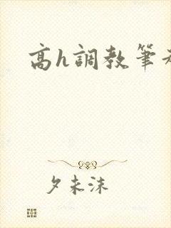 高h调教笔趣阁封面