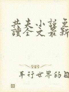 共夫小说免费阅读全文最新章节