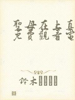 圣母在上真人版免费观看电视剧