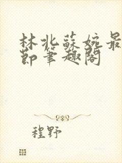 林北苏婉最新章节笔趣阁