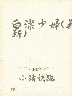 白洁少妇(无删新)