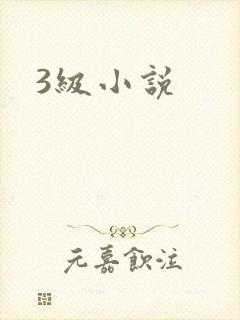 3级小说