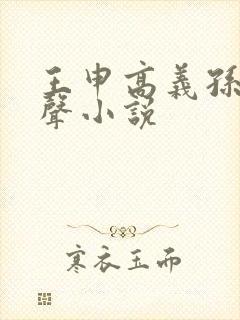 王申高义孙倩有声小说