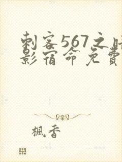 刺客567之暗影宿命免费观看