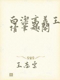 白洁高义王申孙倩笔趣阁封面