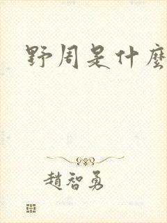 野周是什么意思