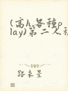 (高h,各种play)第二人称笔趣阁