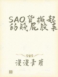 SAO货撅起你的贱屁股来