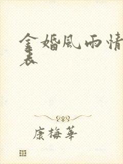 金婚风雨情演员表封面