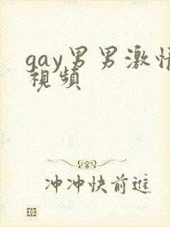 gay男男激情视频