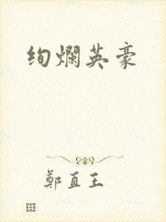 绚烂英豪封面
