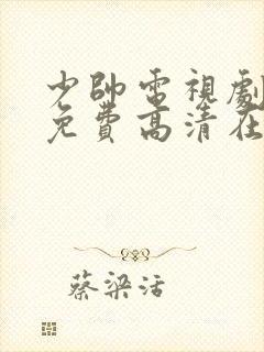 少帅电视剧全集免费高清在线