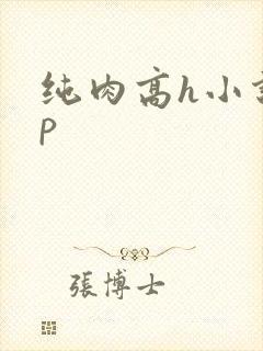 纯肉高h小说np
