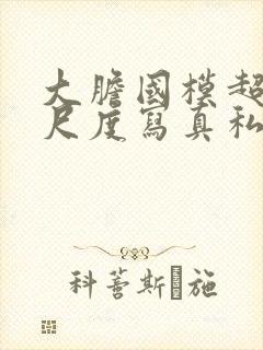 大胆国模超超大尺度写真私拍在线播