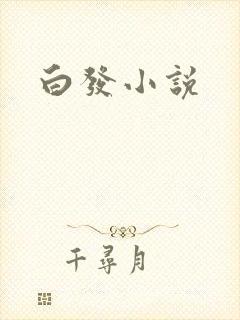 白发小说封面