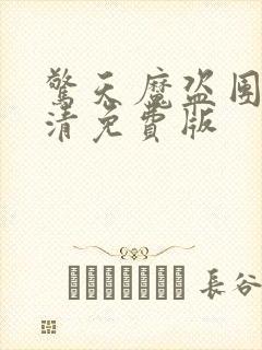 惊天魔盗团2高清免费版